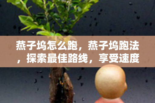 燕子坞怎么跑,燕子坞跑法,探索最佳路线,享受速度与激情的交融 燕子坞怎么跑,燕子坞跑法,探索最佳路线,享受速度与激情的交融