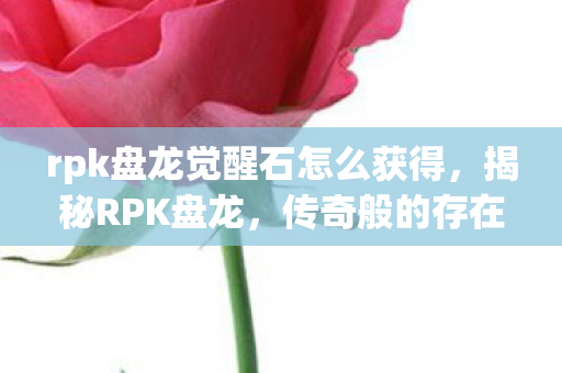 rpk盘龙觉醒石怎么获得，揭秘RPK盘龙，传奇般的存在与背后的故事