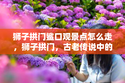 狮子拱门鲨口观景点怎么走，狮子拱门，古老传说中的神秘之门与勇气之地