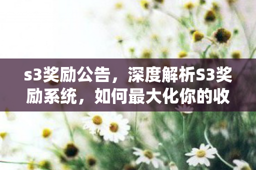 s3奖励公告，深度解析S3奖励系统，如何最大化你的收益？