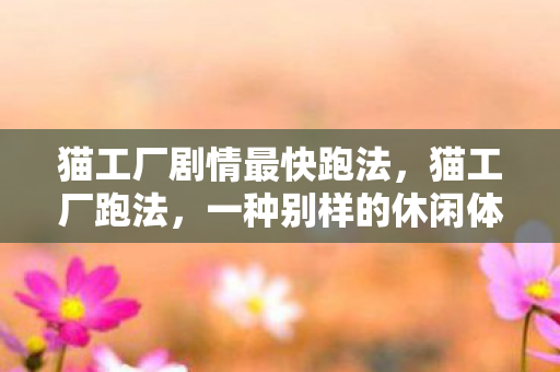 猫工厂剧情最快跑法，猫工厂跑法，一种别样的休闲体验