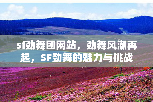 sf劲舞团网站，劲舞风潮再起，SF劲舞的魅力与挑战