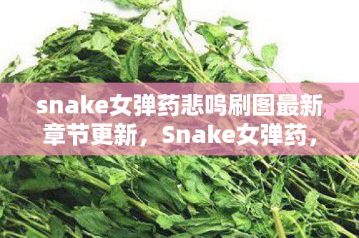 snake女弹药悲鸣刷图最新章节更新，Snake女弹药，游戏魅力与角色深度解析