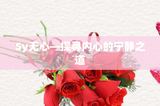 Sy无心—探寻内心的宁静之道 Sy无心—探寻内心的宁静之道