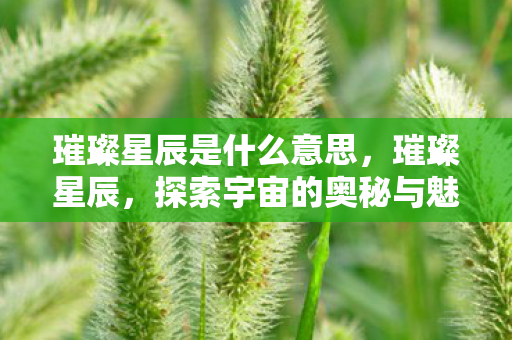璀璨星辰是什么意思，璀璨星辰，探索宇宙的奥秘与魅力