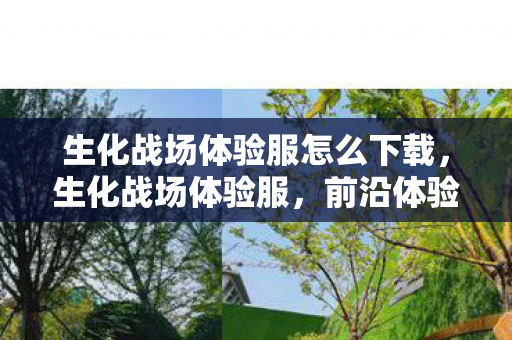 生化战场体验服怎么下载，生化战场体验服，前沿体验与深度解析