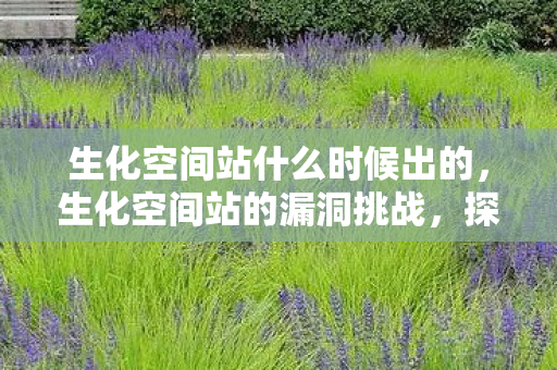 生化空间站什么时候出的，生化空间站的漏洞挑战，探索未知的BUG世界