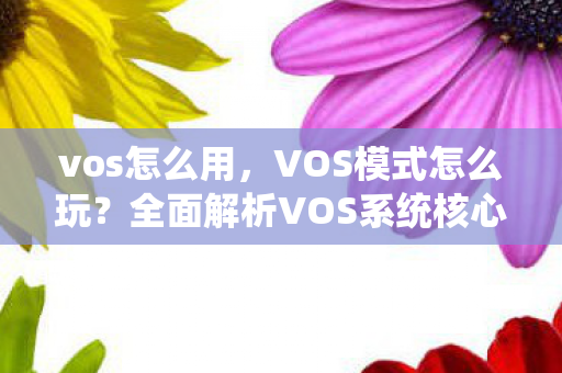 vos怎么用，VOS模式怎么玩？全面解析VOS系统核心玩法