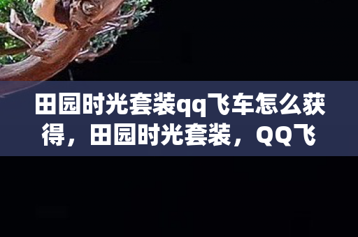 田园时光套装qq飞车怎么获得，田园时光套装，QQ飞车中的自然风情与快乐竞技