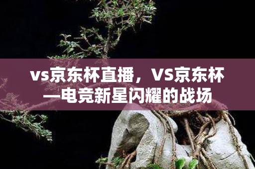 vs京东杯直播，VS京东杯—电竞新星闪耀的战场
