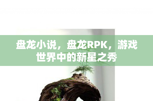 盘龙小说,盘龙RPK,游戏世界中的新星之秀 盘龙小说,盘龙RPK,游戏世界中的新星之秀