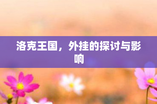 洛克王国，外挂的探讨与影响