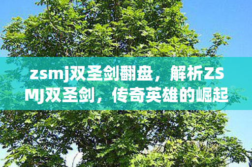 zsmj双圣剑翻盘,解析ZSMJ双圣剑,传奇英雄的崛起与陨落 zsmj双圣剑翻盘,解析ZSMJ双圣剑,传奇英雄的崛起与陨落