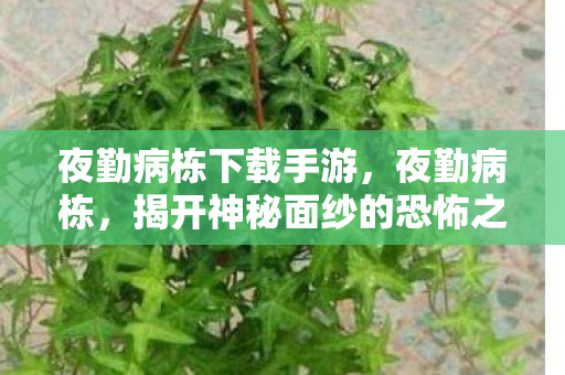 夜勤病栋下载手游,夜勤病栋,揭开神秘面纱的恐怖之旅 夜勤病栋下载手游,夜勤病栋,揭开神秘面纱的恐怖之旅
