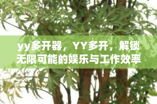 yy多开器,YY多开,解锁无限可能的娱乐与工作效率提升神器 yy多开器,YY多开,解锁无限可能的娱乐与工作效率提升神器