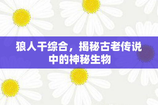 狼人干综合,揭秘古老传说中的神秘生物 狼人干综合,揭秘古老传说中的神秘生物