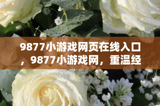9877小游戏网页在线入口，9877小游戏网，重温经典，找回童年的快乐