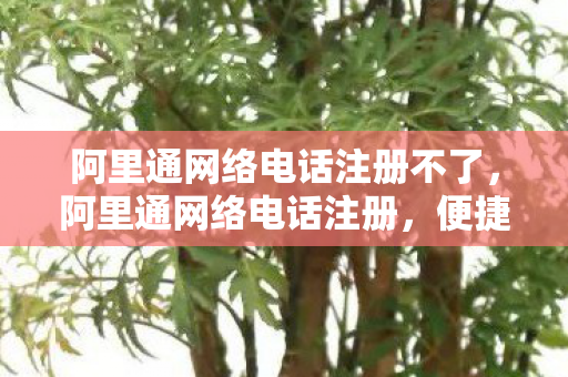 阿里通网络电话注册不了，阿里通网络电话注册，便捷通讯的新选择