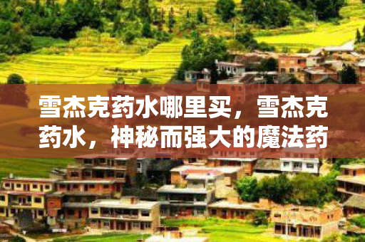 雪杰克药水哪里买，雪杰克药水，神秘而强大的魔法药剂