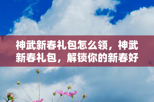 神武新春礼包怎么领，神武新春礼包，解锁你的新春好运！