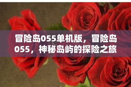 冒险岛055单机版，冒险岛055，神秘岛屿的探险之旅