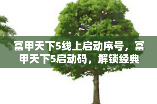 富甲天下5线上启动序号，富甲天下5启动码，解锁经典策略游戏的钥匙