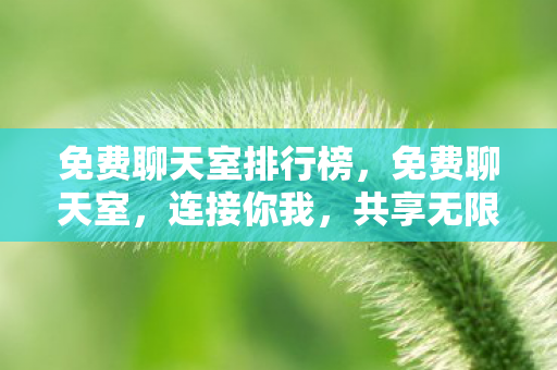 免费聊天室排行榜，免费聊天室，连接你我，共享无限可能