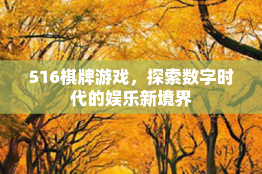 516棋牌游戏，探索数字时代的娱乐新境界