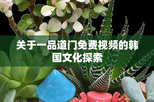 关于一品道门免费视频的韩国文化探索
