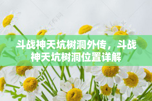 斗战神天坑树洞外传，斗战神天坑树洞位置详解