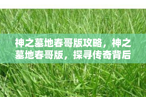 神之墓地春哥版攻略，神之墓地春哥版，探寻传奇背后的故事