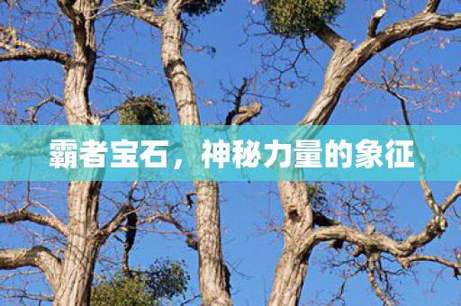 霸者宝石，神秘力量的象征