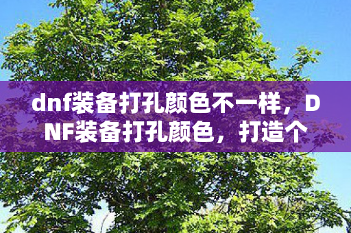 dnf装备打孔颜色不一样，DNF装备打孔颜色，打造个性化角色，提升战斗力的秘密