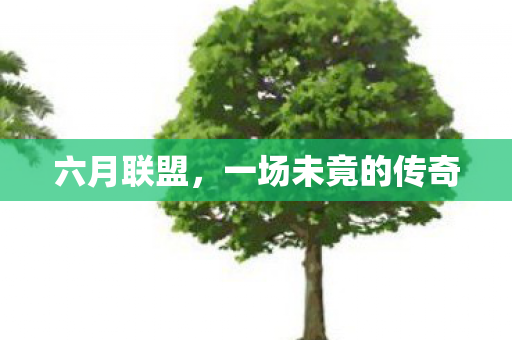 六月联盟，一场未竟的传奇