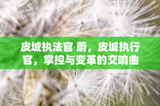 皮城执法官 蔚，皮城执行官，掌控与变革的交响曲