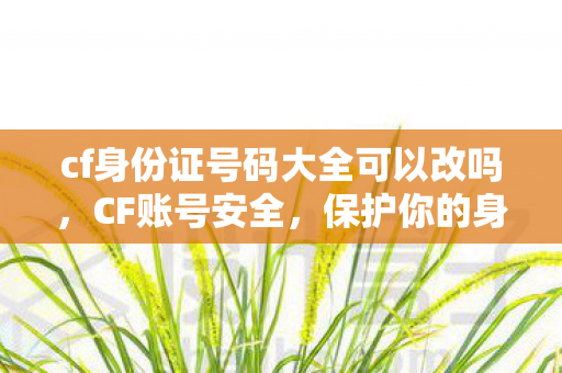 cf身份证号码大全可以改吗，CF账号安全，保护你的身份证号码