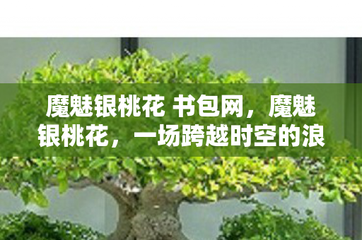 魔魅银桃花 书包网，魔魅银桃花，一场跨越时空的浪漫邂逅