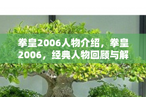 拳皇2006人物介绍，拳皇2006，经典人物回顾与解析