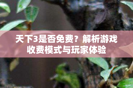 天下3是否免费？解析游戏收费模式与玩家体验