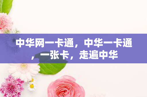 中华网一卡通，中华一卡通，一张卡，走遍中华