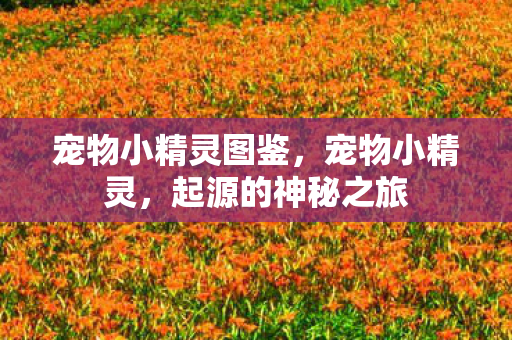 宠物小精灵图鉴，宠物小精灵，起源的神秘之旅