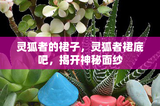 灵狐者的裙子，灵狐者裙底吧，揭开神秘面纱