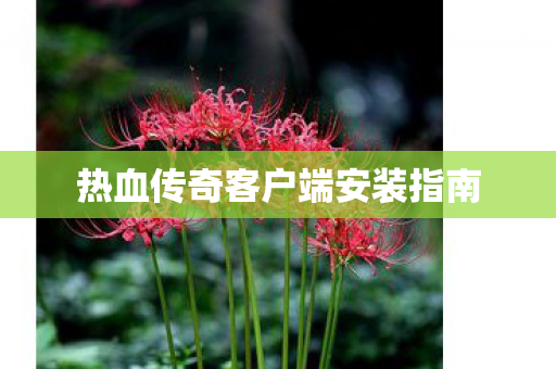 热血传奇客户端安装指南