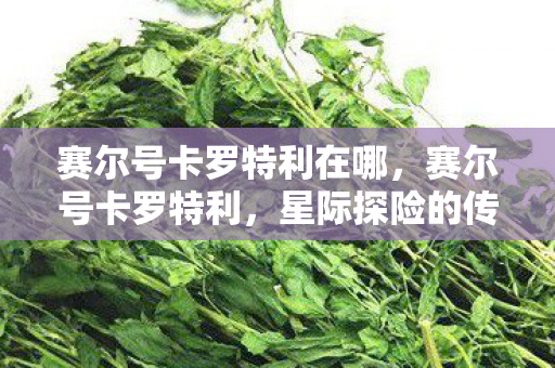 赛尔号卡罗特利在哪，赛尔号卡罗特利，星际探险的传奇之旅