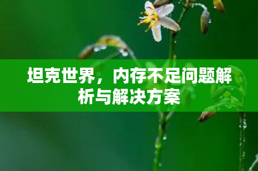 坦克世界，内存不足问题解析与解决方案
