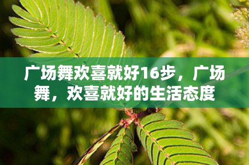 广场舞欢喜就好16步，广场舞，欢喜就好的生活态度