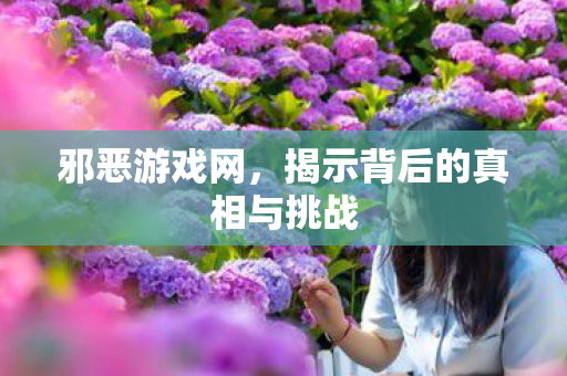 邪恶游戏网，揭示背后的真相与挑战