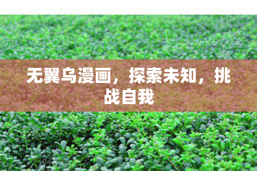 无翼乌漫画，探索未知，挑战自我