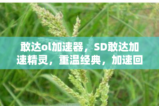 敢达ol加速器，SD敢达加速精灵，重温经典，加速回忆
