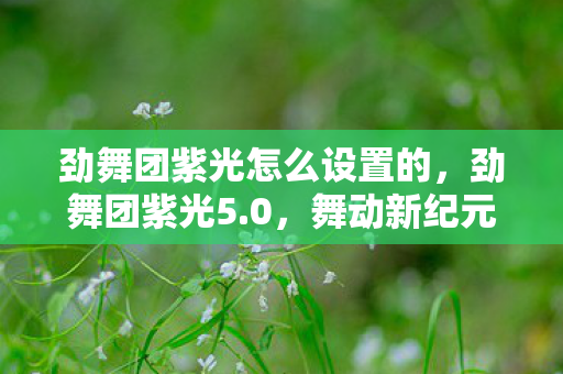 劲舞团紫光怎么设置的，劲舞团紫光5.0，舞动新纪元，开启音乐游戏新篇章